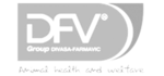 08-dfv